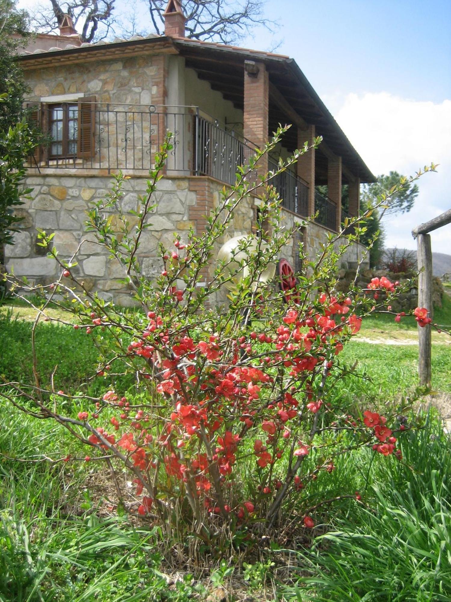 Agriturismo Casa Fibbianello Semproniano Exterior foto
