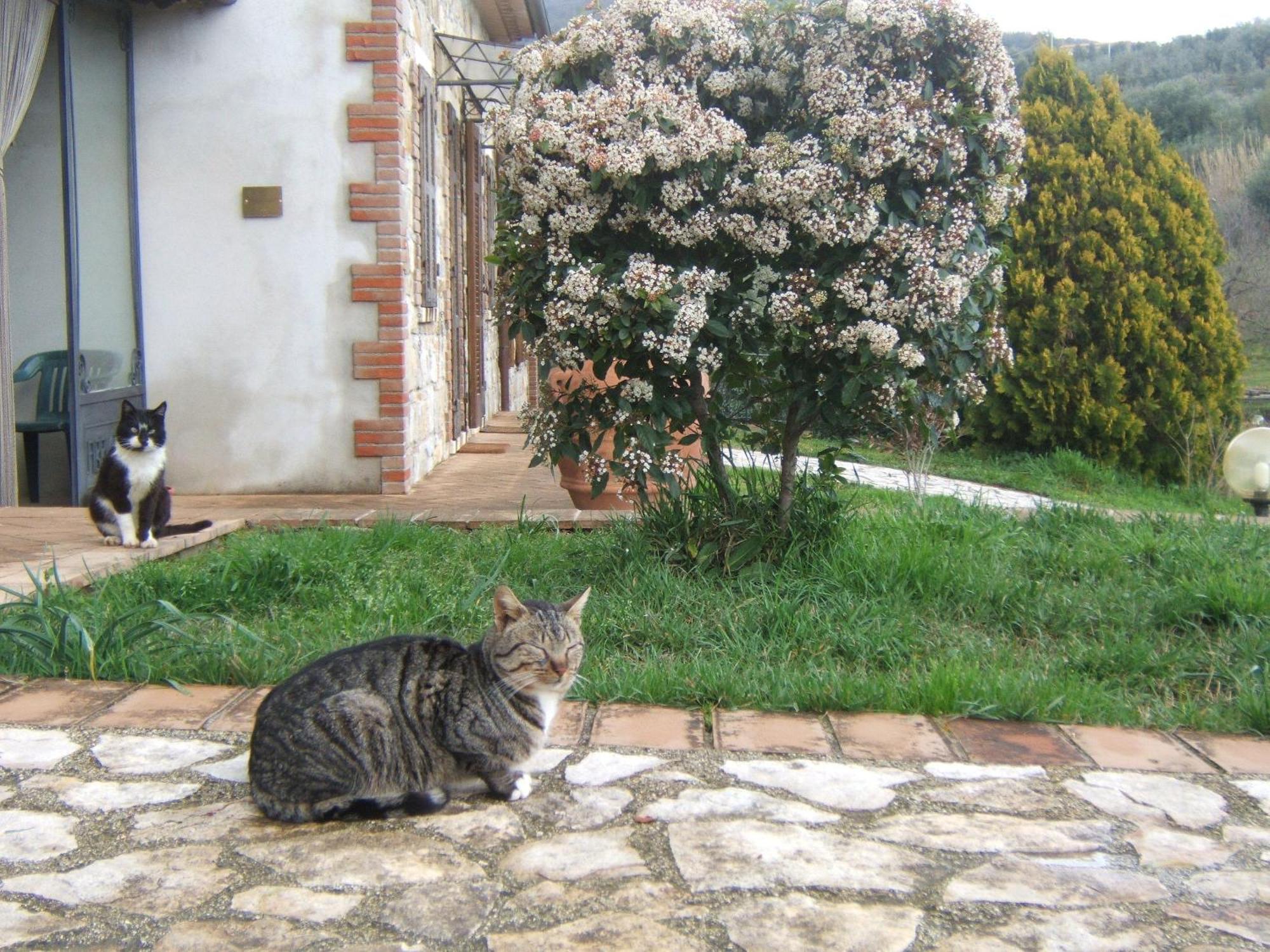Agriturismo Casa Fibbianello Semproniano Exterior foto